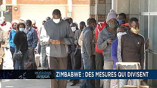 Renewable energy: low-resource mobilization [Business Africa]