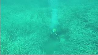 Roman "underwater ruins" discovered in Tunisia