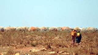 UN launches cash appeal as 13 million face hunger in East Africa 