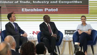 South Africa, Netherlands, Denmark launch green fund