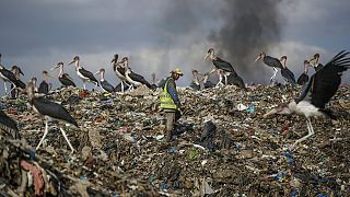 Tackling air pollution a top priority as countries mark World Health Day
