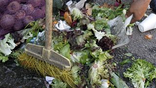 UN issues alarming global food wastage and shortage