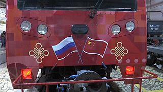 Moscow unveils Lunar New Year metro train