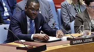 UN concerned after Niger quits force fighting armed Islamist groups