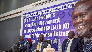 South Sudan's main opposition party in crisis after government minister named as interim chairman