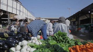 Sudan: Price of basic commodities go up by 60% as fighting escalates 