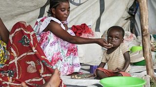 DRC: UN agencies warn of escalating food crisis due to conflict and price hike
