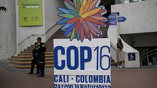 COP16: UN Biodiversity Conference resumes work in Rome