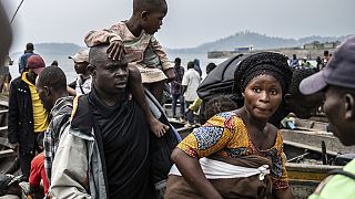 Displaced families in Eastern Congo struggle for shelter 