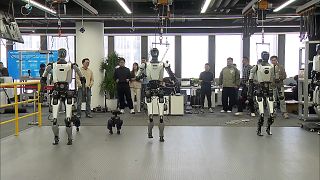 China unveils first humanoid robot training base in Shanghai
