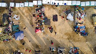 Fear and uncertainty grip Haitian workers in Texas meatpacking plants amid immigration crackdown