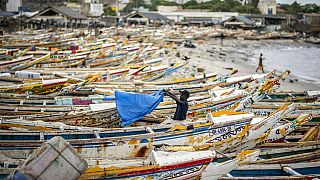 Senegalese officials to ascertain cause of mysterious skin disease