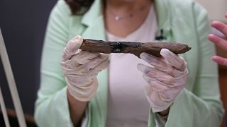 Our ancestors were making bone tools a million years earlier than thought