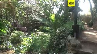With 500 species, Moroccan exotic garden an oasis of biodiversity