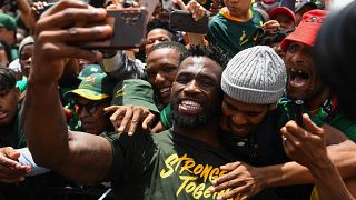 Springboks welcomed by proud Capetonian fans