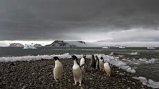 Fear at isolated Antarctica base as a man is accused of attacking a colleague and making threats