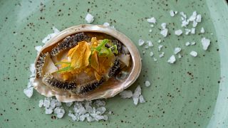 10.3 Million tons of food wasted in South Africa as chefs push for sustainability