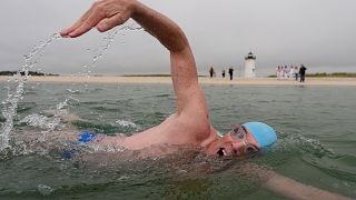 Endurance athlete begins swim in shark-infested waters