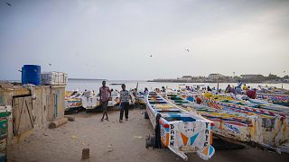 NGOs sue Spain for ignoring illegal fishing threat to African coasts