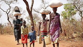 South Sudan faces refugee surge and deadly cholera crisis, MSF warns