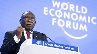 Critical minerals and climate action: South Africa's G20 priorities