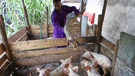 They once lived the 'gangster life.' Now they tackle food insecurity in Kenya's slums